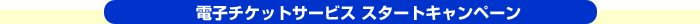 電子チケットサービス スタートキャンペーン